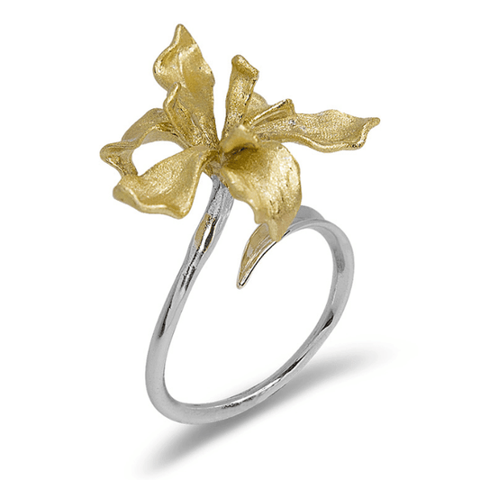 Fleur d' Argent Anel Íris - GLAVHORY